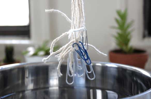 DIY Self-Watering System for Houseplants | SCISSORS & SAGE