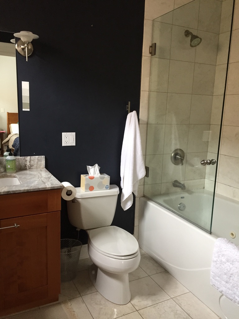 Benjamin moore | SCISSORS & SAGE
