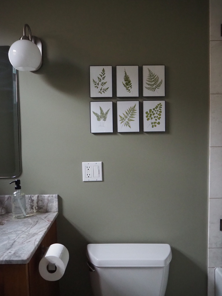 Benjamin moore | SCISSORS & SAGE